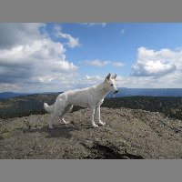 DSCN3690