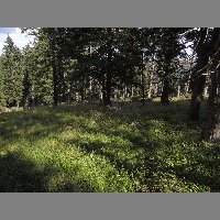 DSCN3697