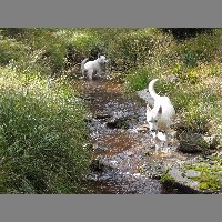 DSCN3707