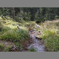 DSCN3710