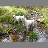 DSCN3721