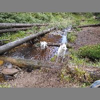 DSCN3727