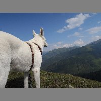 DSCN3261