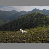 DSCN3292