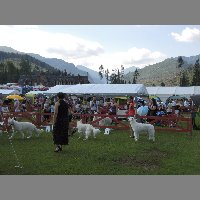 DSCN3359