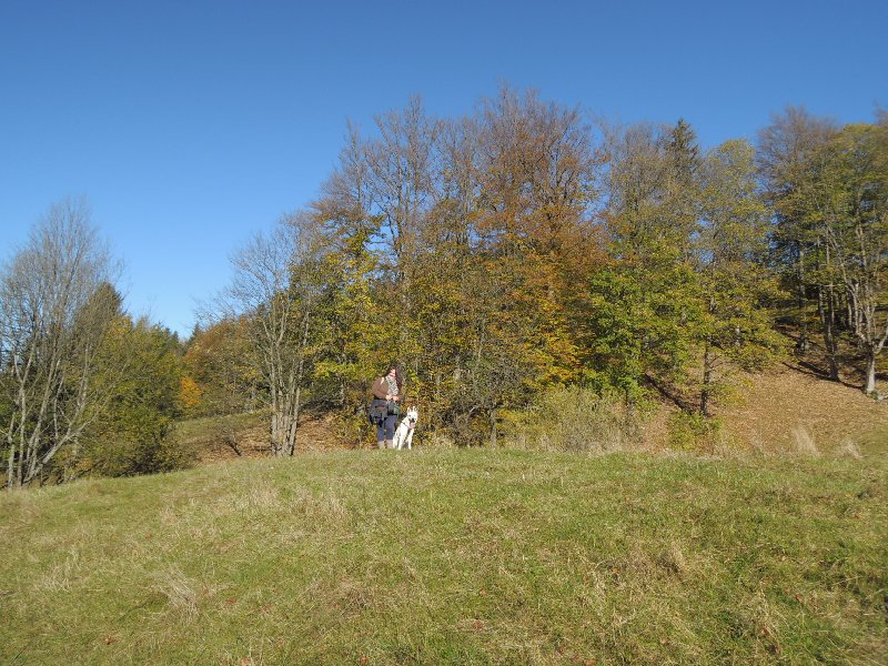 dscn4138.jpg