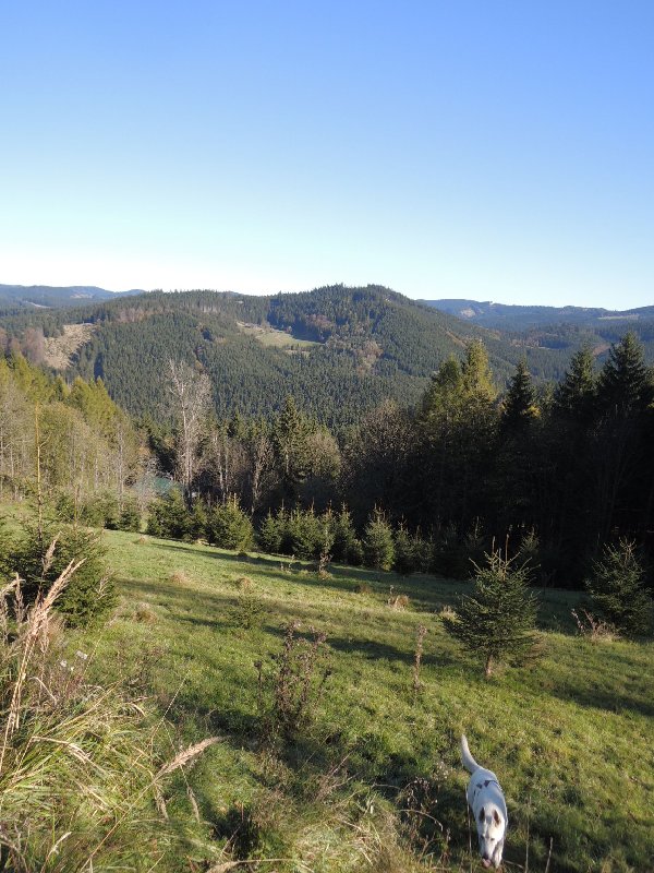 dscn4158.jpg