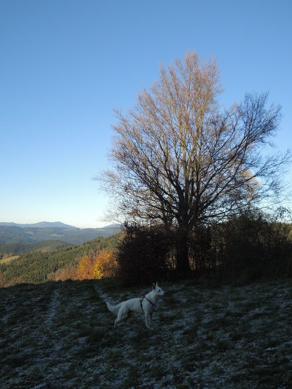 dscn4193.jpg
