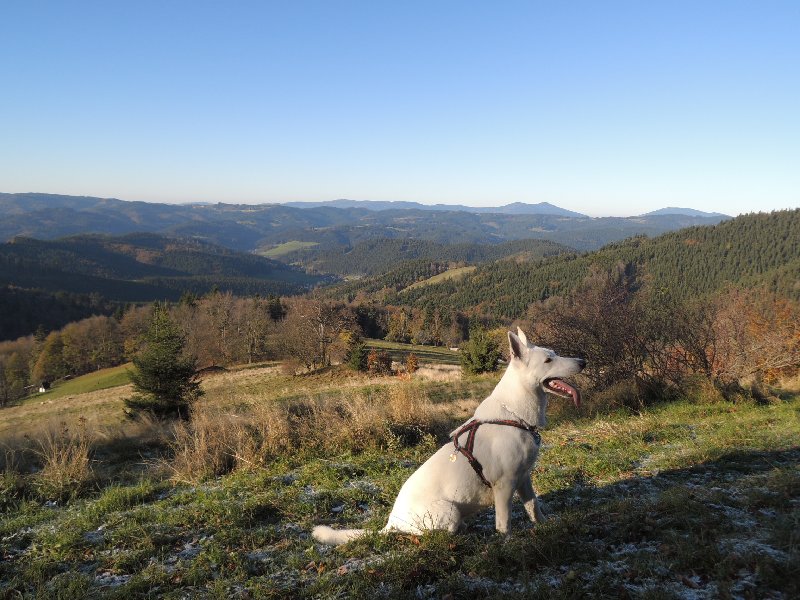 dscn4196.jpg
