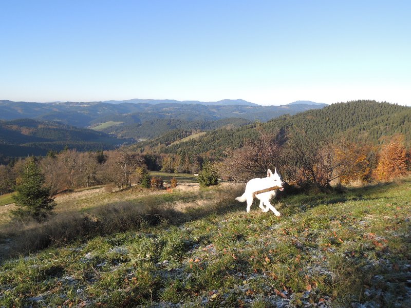 dscn4217.jpg