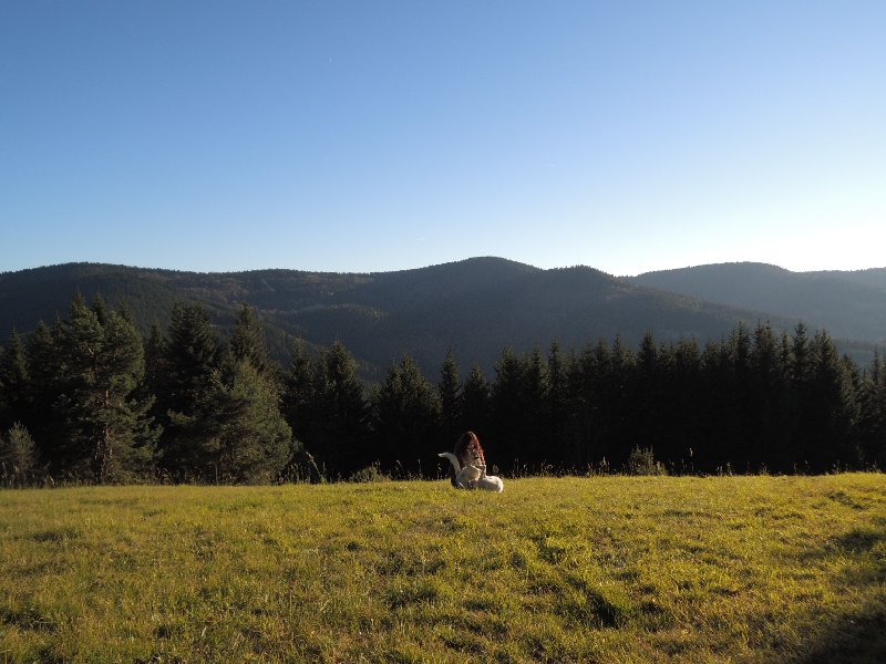 dscn4258.jpg