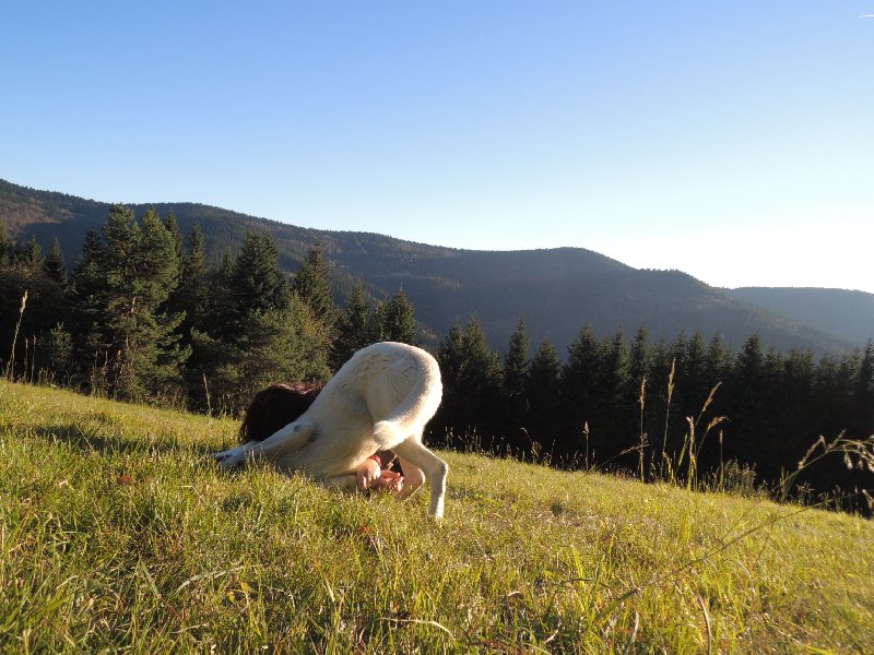 dscn4296.jpg