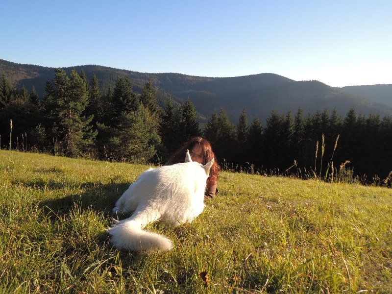 dscn4308.jpg