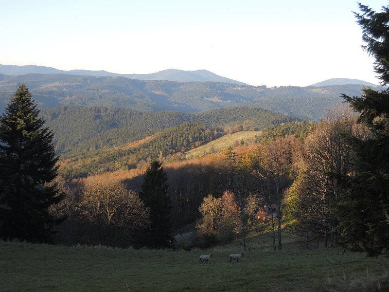 dscn4329.jpg