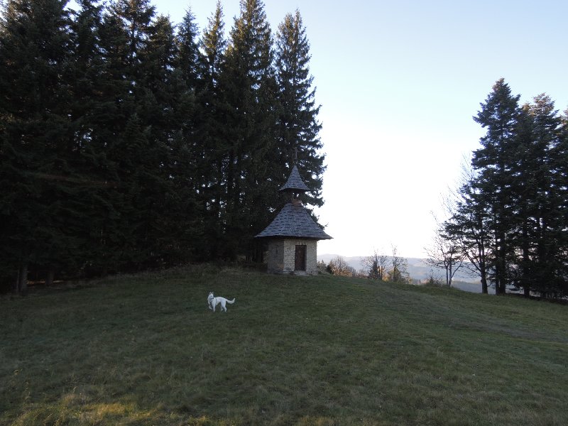 dscn4333.jpg