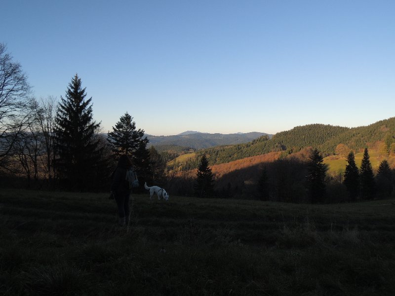 dscn4350.jpg