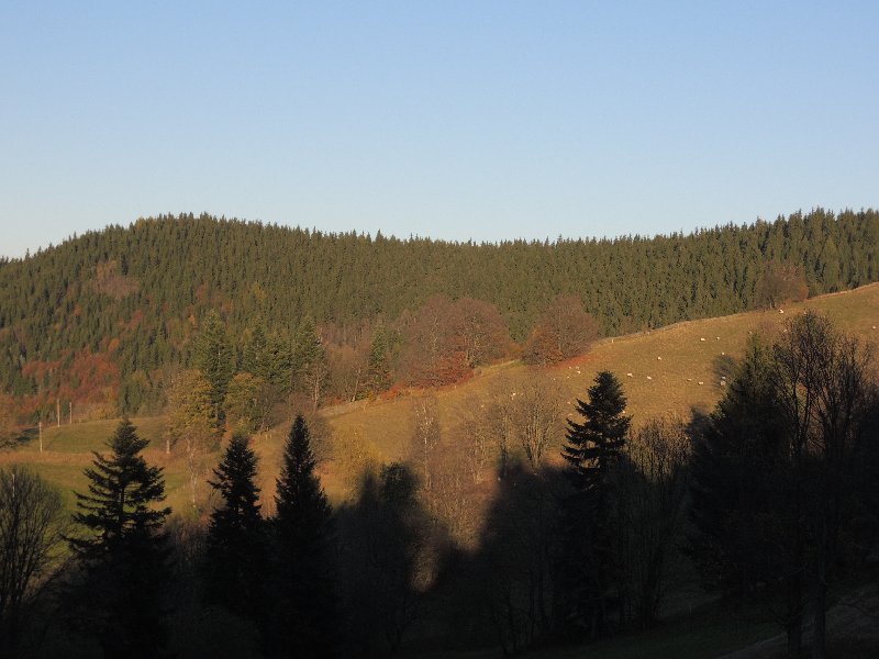 dscn4352.jpg
