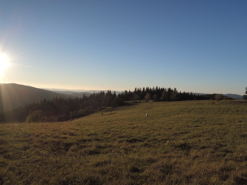dscn4369.jpg