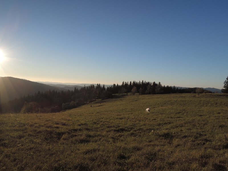 dscn4370.jpg