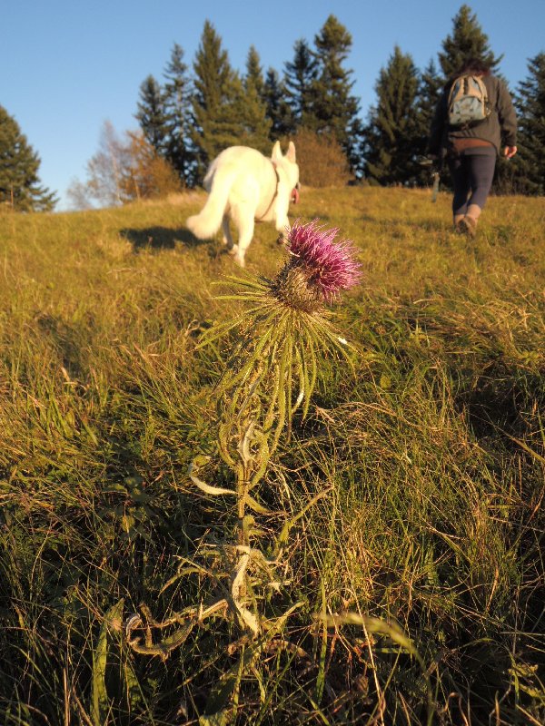 dscn4375.jpg