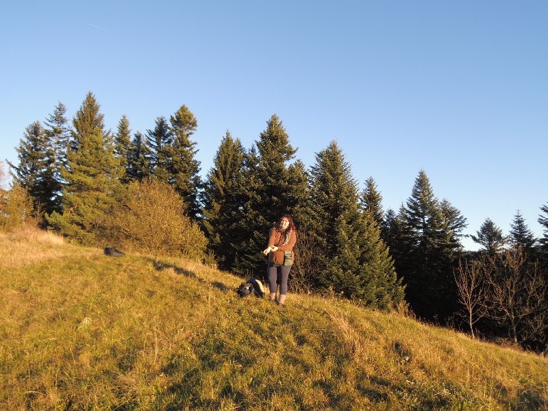 dscn4378.jpg