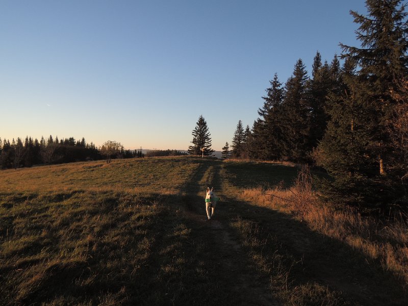 dscn4391.jpg