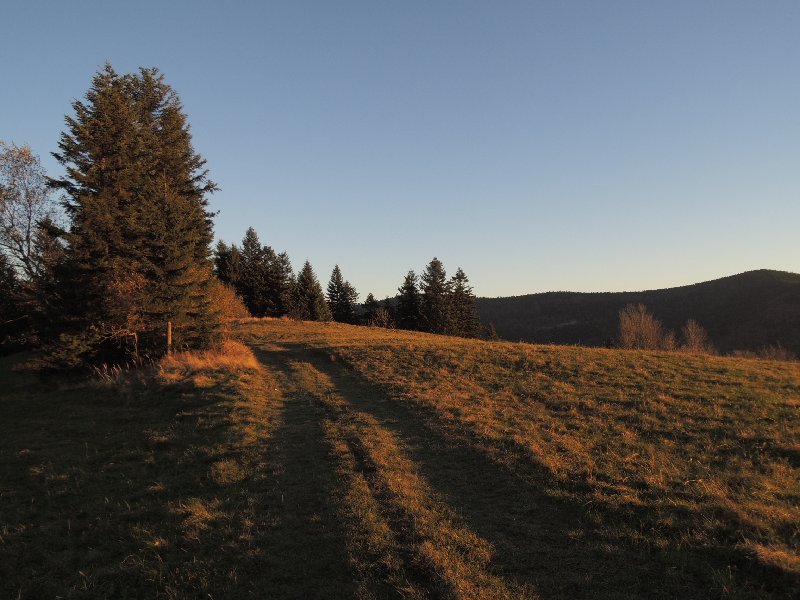 dscn4395.jpg