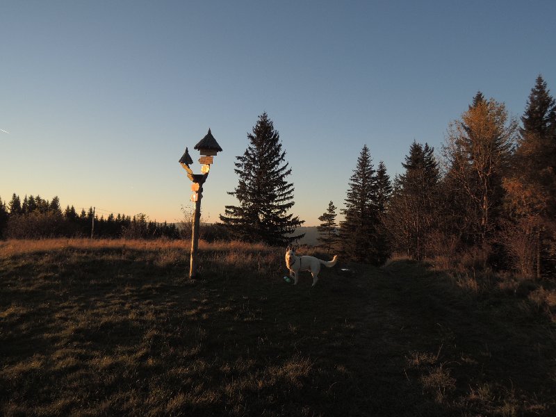 dscn4396.jpg