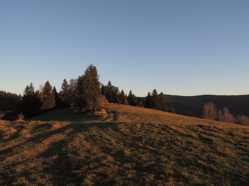 dscn4399.jpg