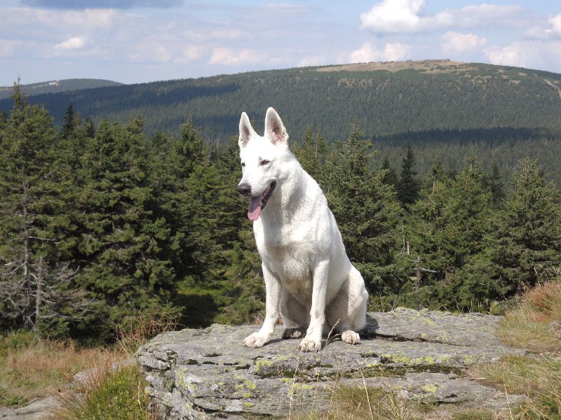 dscn3646.jpg