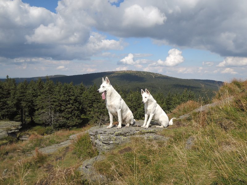 dscn3650.jpg