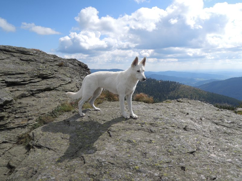 dscn3678.jpg