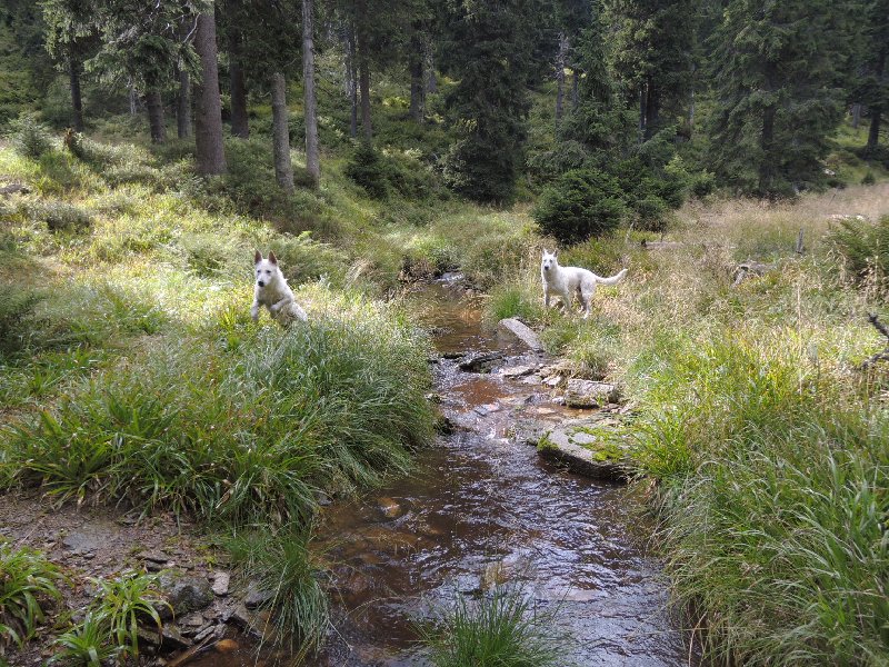 dscn3710.jpg
