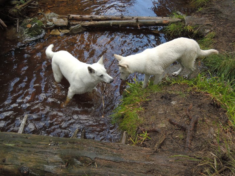 dscn3728.jpg